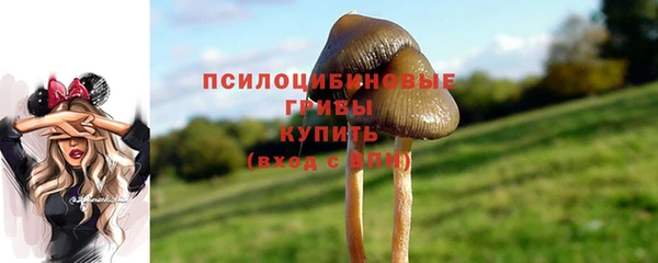 МДПВ Михайловск