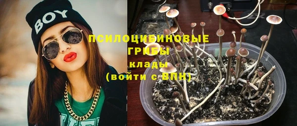 МДПВ Михайловск