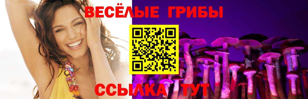 Псилоцибиновые грибы Magic Shrooms  Вход с VPN  Дзержинск 